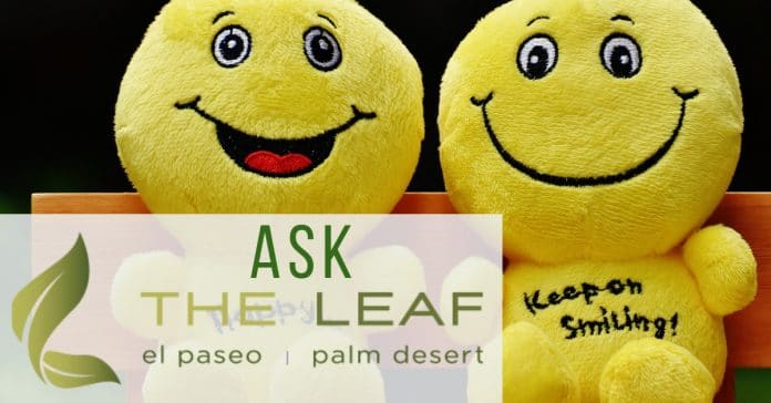 Ask The Leaf: Does every cannabis product get me high?