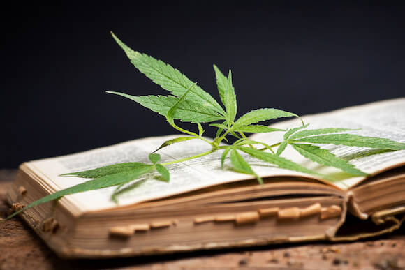 old marijuana education resource book new greenflower leafly purablis norml