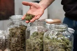 cannabis jars