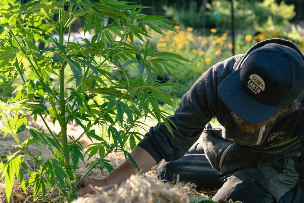 croptober 2019