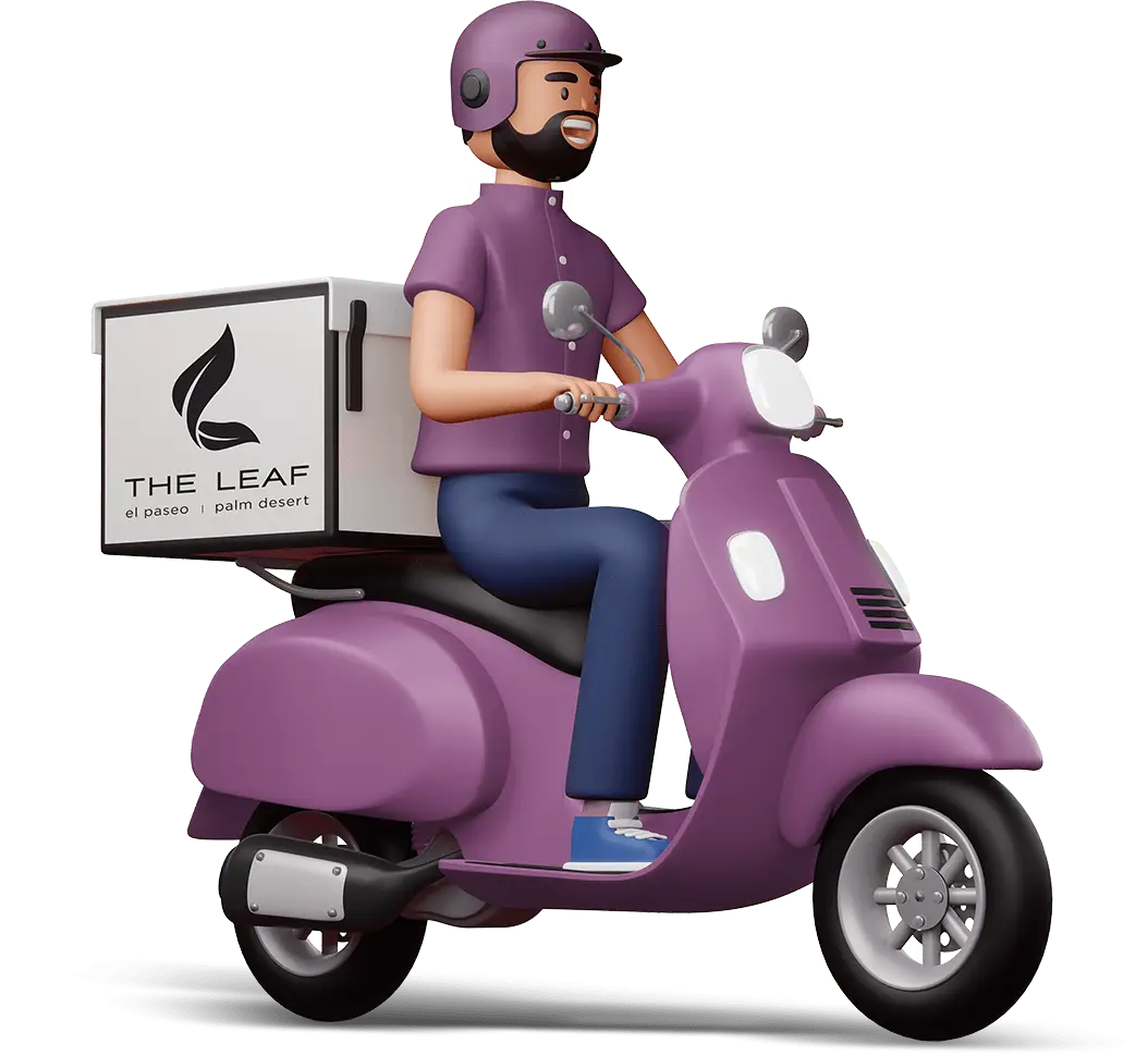 deliveryguy 02 1