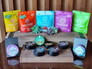 top 5 cannabis edibles for modern day survival